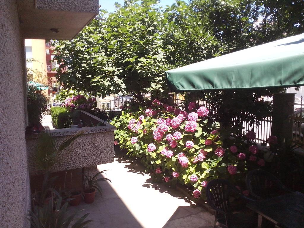 Guest House Krasi Черноморец Экстерьер фото